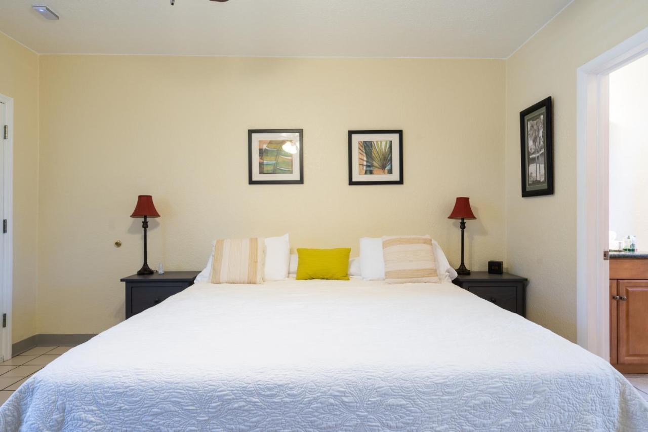 Mar Bay Exclusive Suites Safety Harbor Luaran gambar