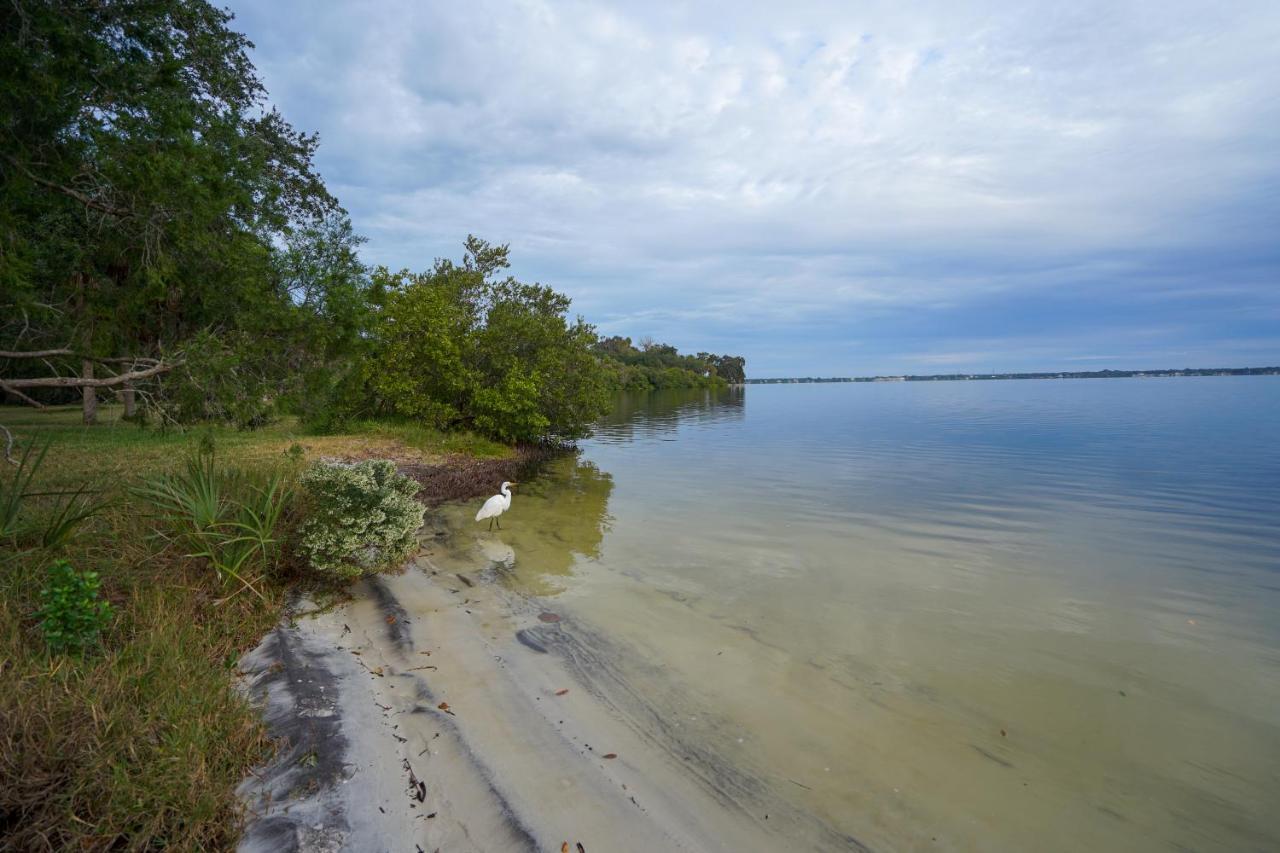 Mar Bay Exclusive Suites Safety Harbor Luaran gambar