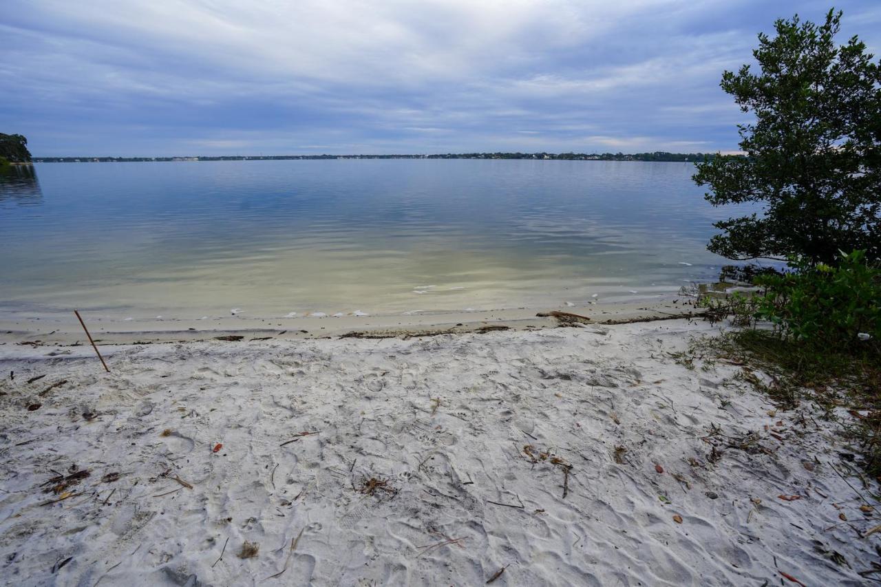 Mar Bay Exclusive Suites Safety Harbor Luaran gambar